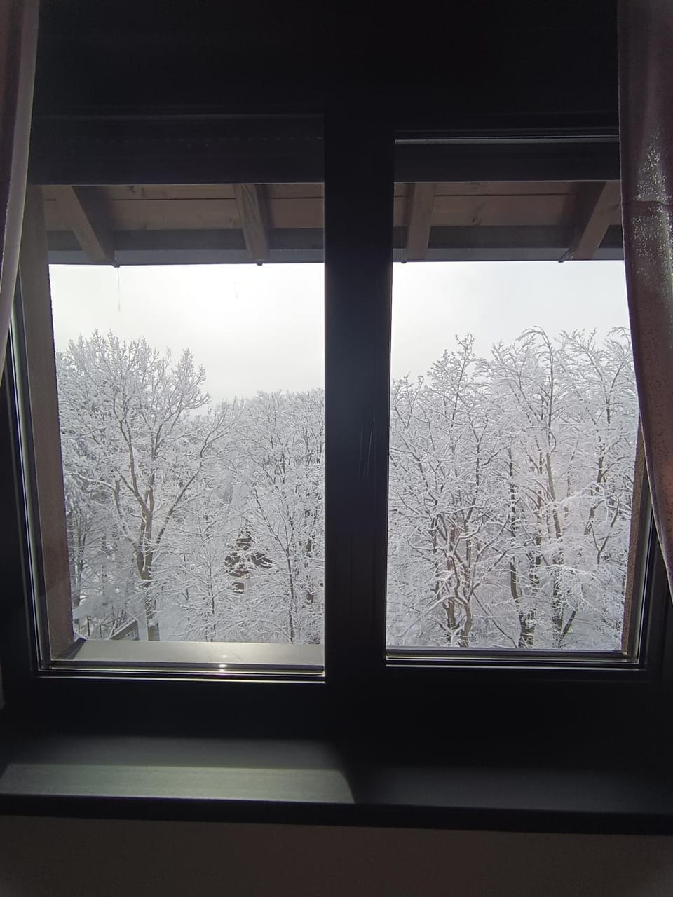 Natural landscape, Winter