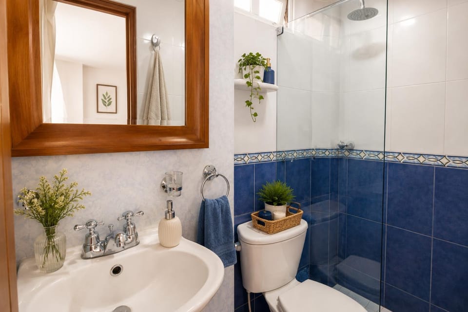 Shower, Toilet, Bathroom, Bath