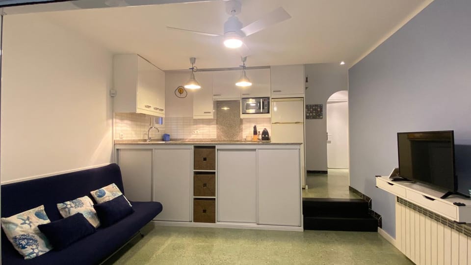 Living room, kitchen