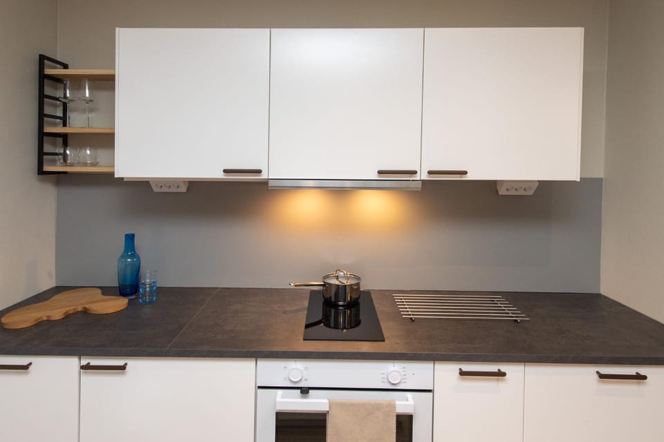 Coffee/tea facilities, Kitchen or kitchenette, minibar, pet friendly, stove