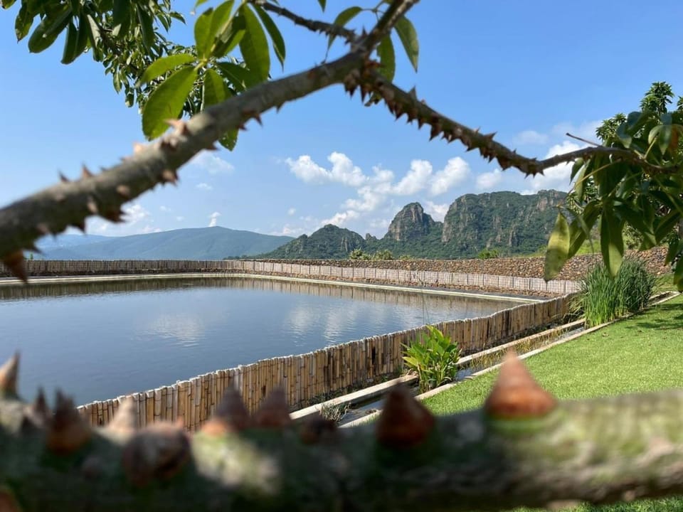 Spring, Day, Natural landscape, Lake view, Mountain view