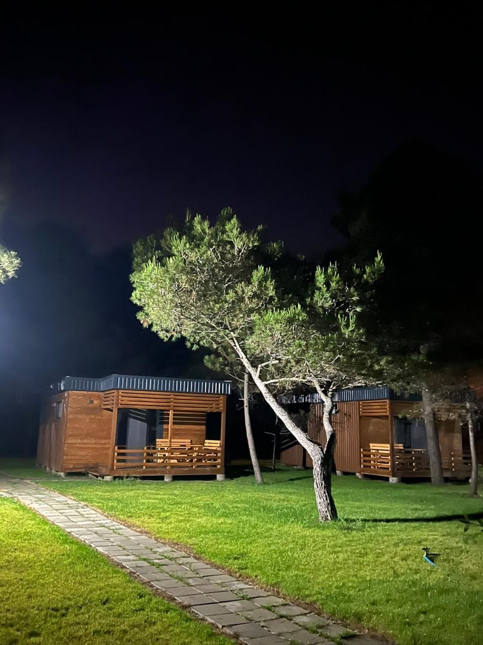 Property building, Night, Natural landscape, Garden, Garden view