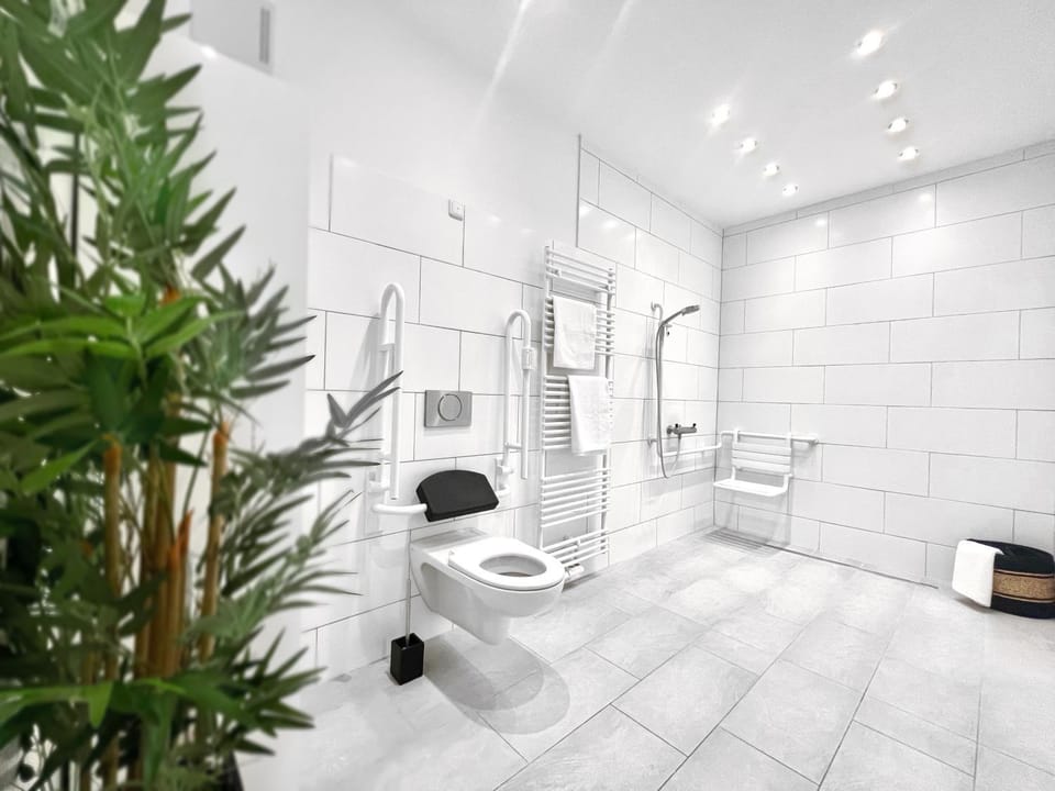Shower, Toilet, Bathroom, Facility for disabled guests, acessibility