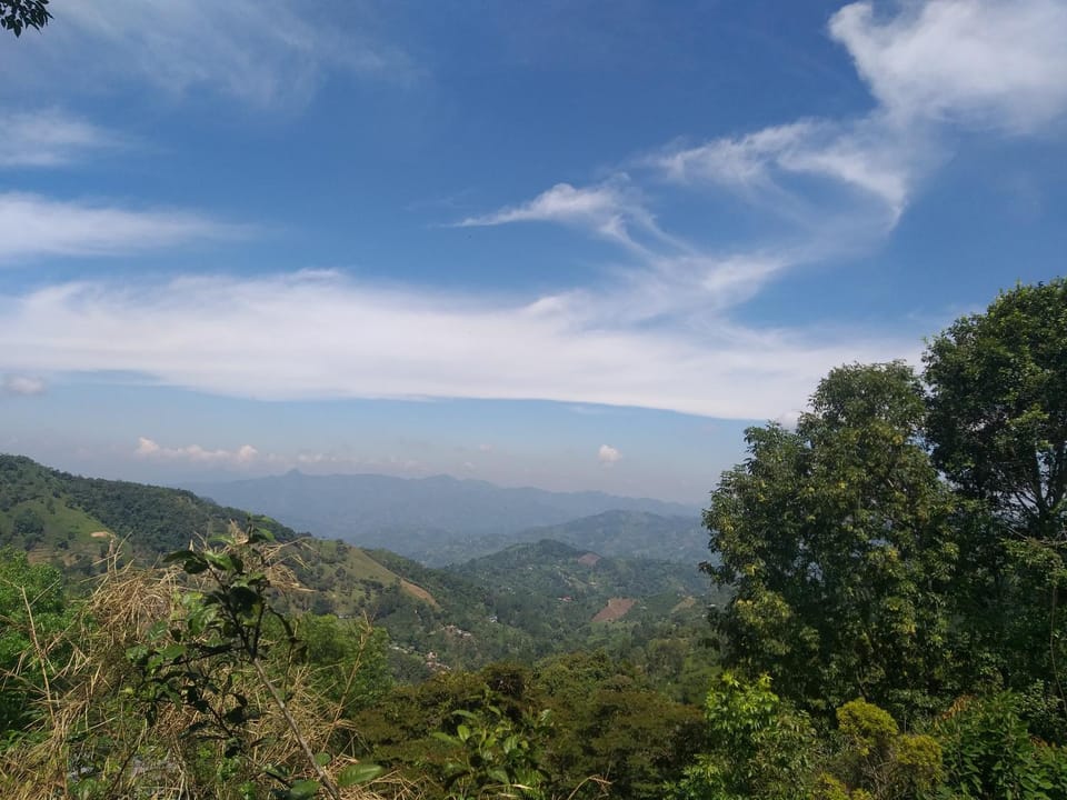 Mountain view
