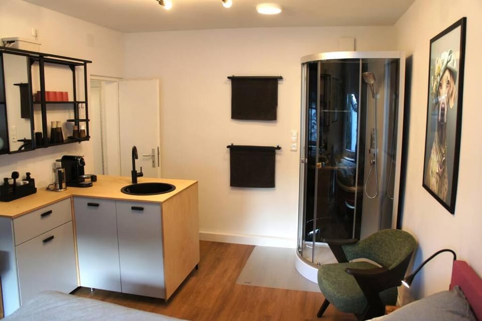 Shower, Kitchen or kitchenette, Seating area