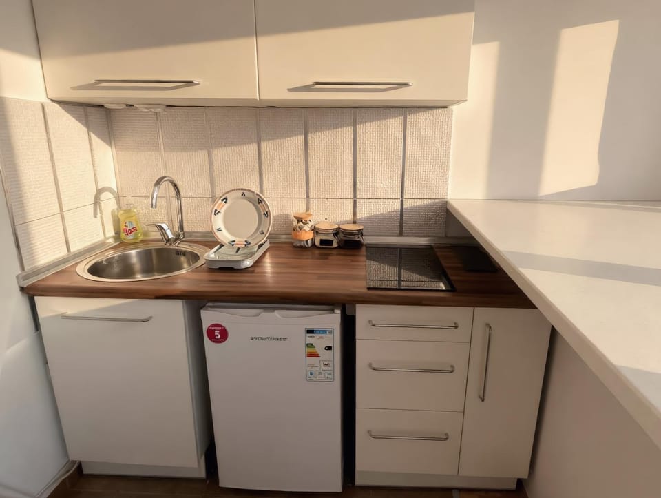 The Shack Apartment in Skopje