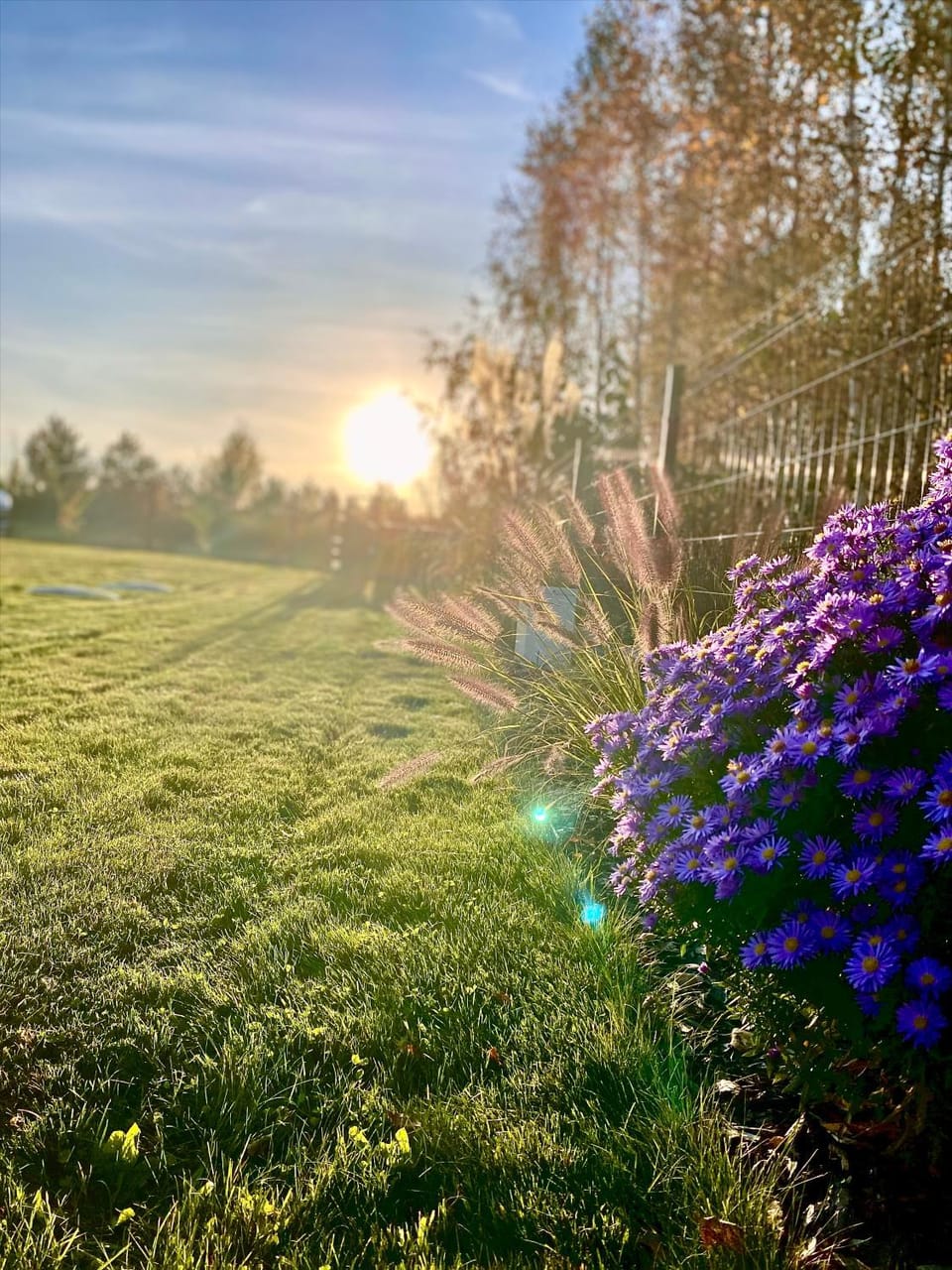 Natural landscape, Garden view, Sunset