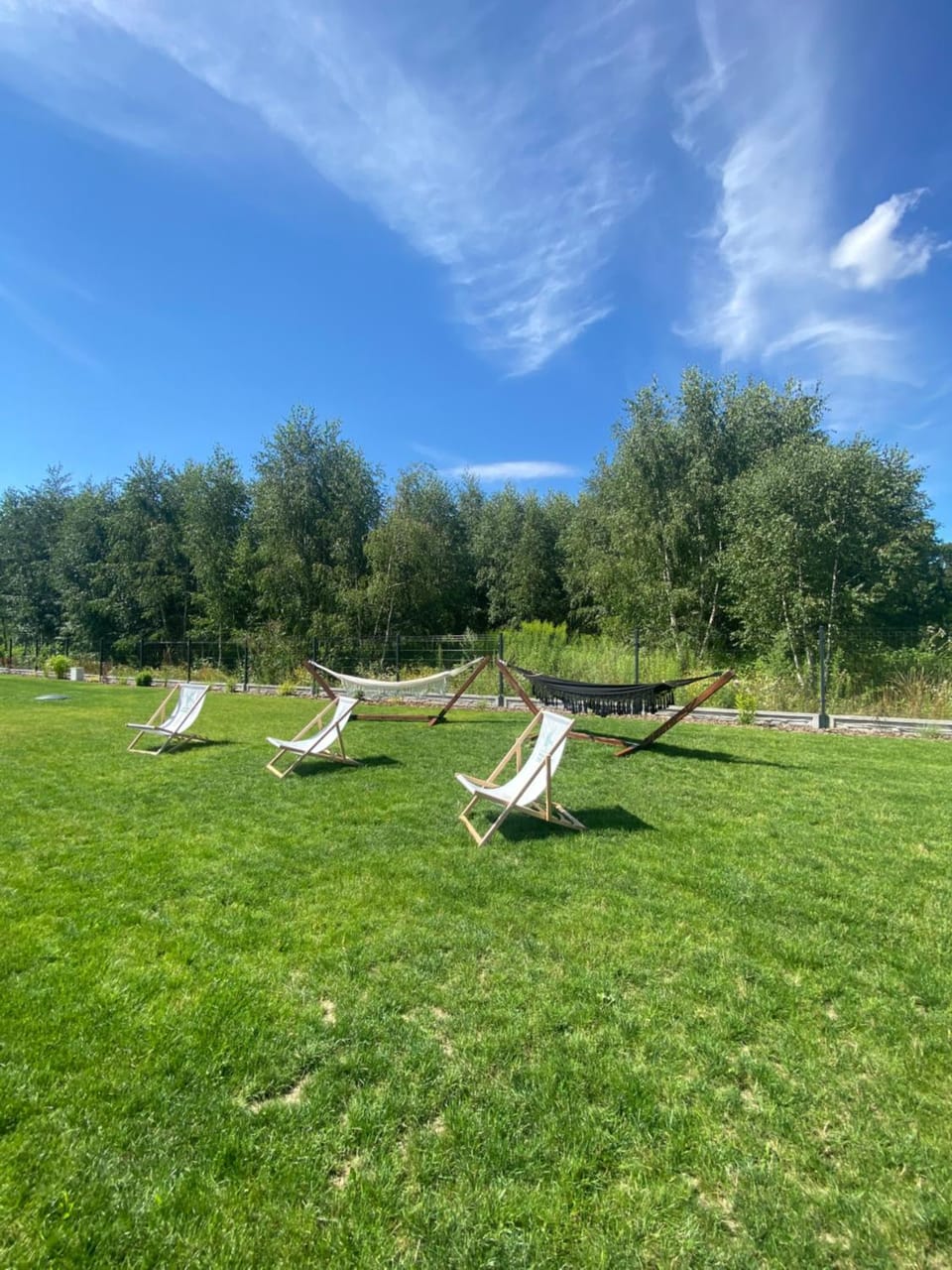 Garden, Garden view, sunbed