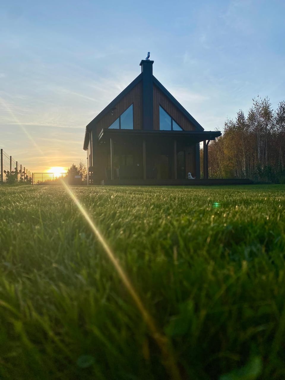 Property building, Garden view, Sunset