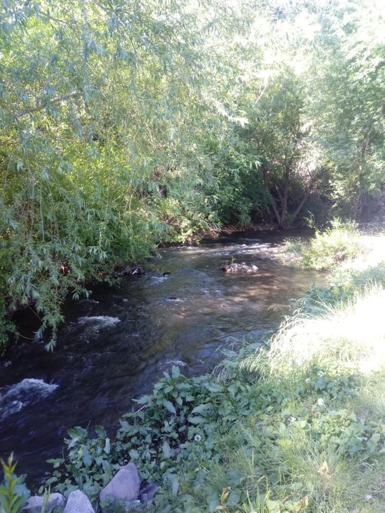 Natural landscape, River view