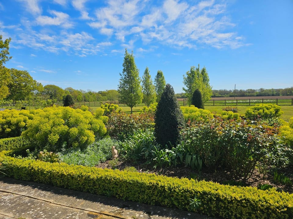 Garden view