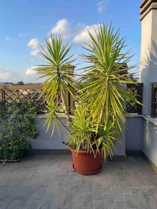 Terrazza Talenti Apartment in Rome