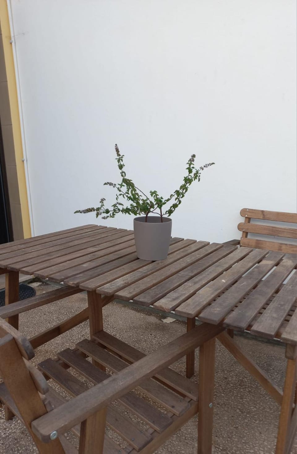 Off site, Garden, Area and facilities, Meals