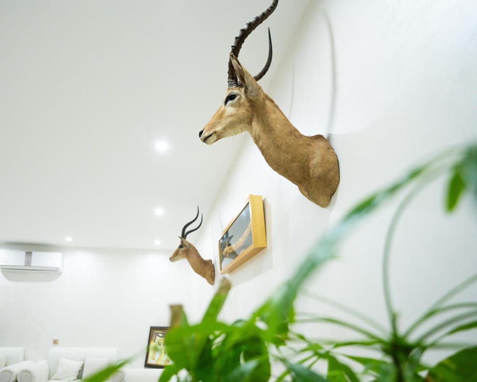 Elva farm Farm Stay in Ajman - United Arab Emirates