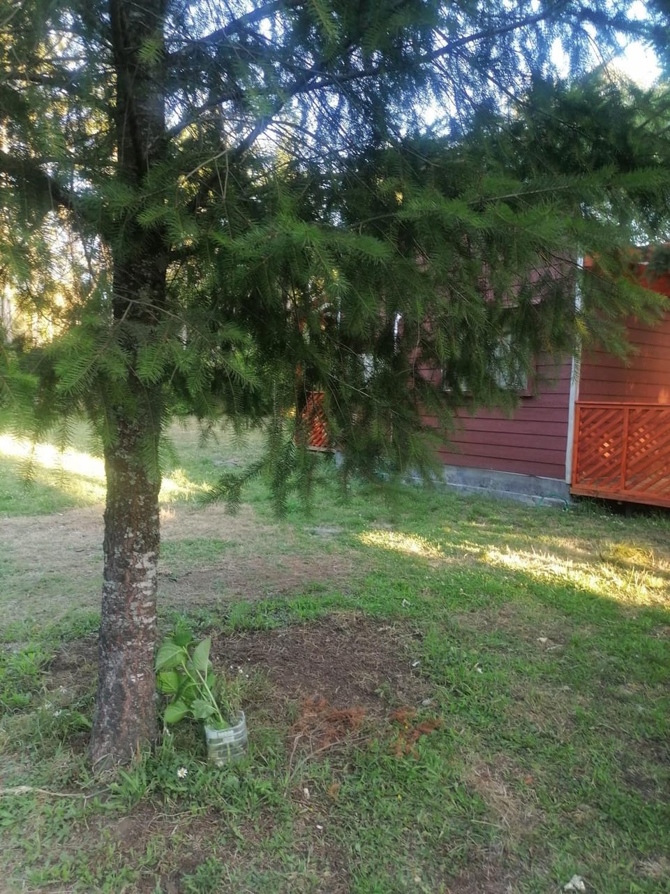 Cisnes del tolten Apartment in Araucania, Chile