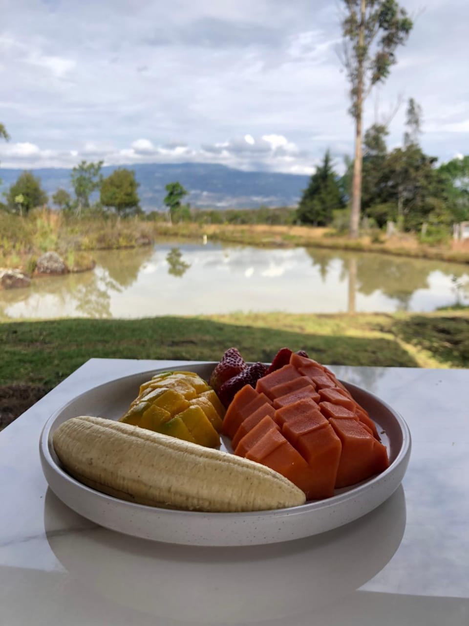 Day, Natural landscape, Food