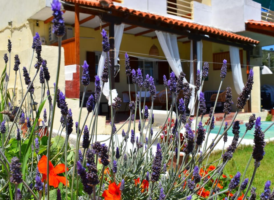 Property building, Garden, Garden view