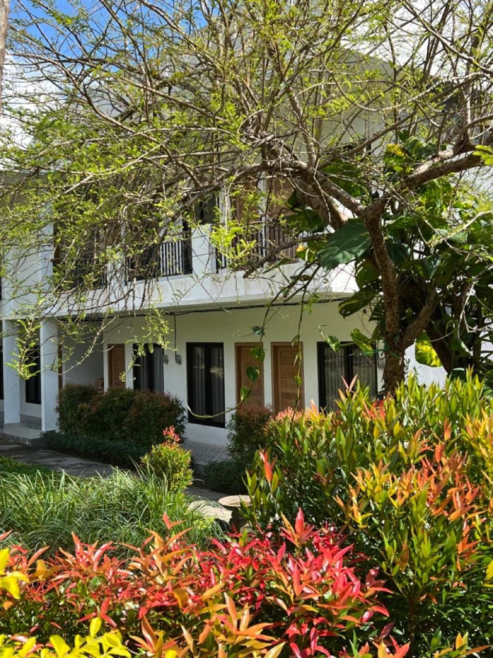 New W Guest House Bed and Breakfast in Bali