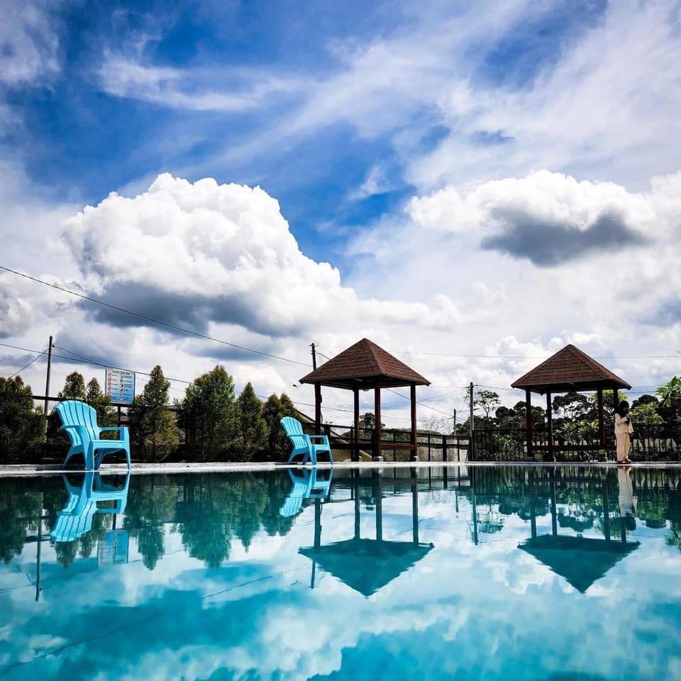 Swimming pool, Swimming pool