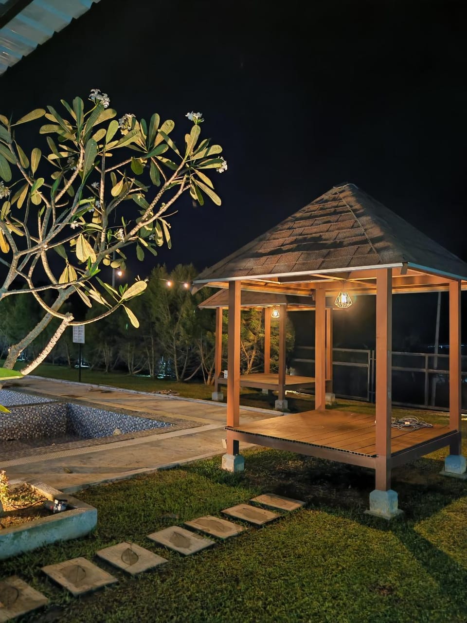 Night, Garden, Garden view, Swimming pool