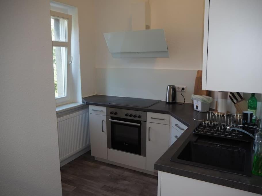 TOP 3-Raum Wohnung, ideal für Monteure und Gruppen Apartment in Dresden-Neustadt