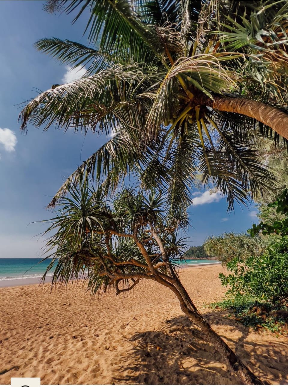 Large 3BR Apartment by the Naithon Beach Apartment in Phuket