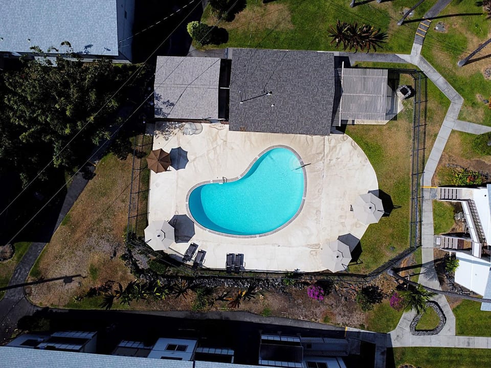 Bird's eye view, Pool view, Swimming pool, sunbed