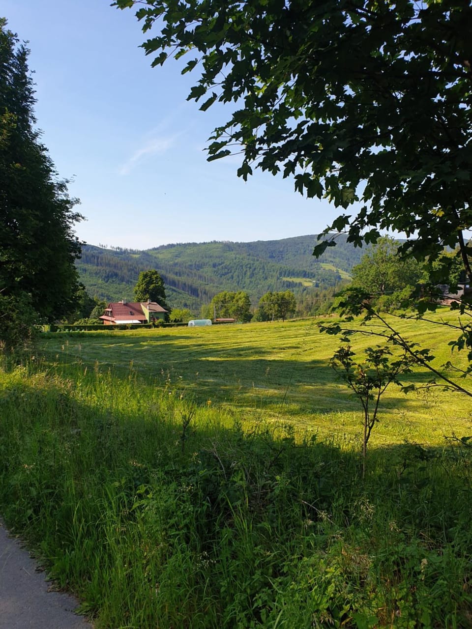 Natural landscape