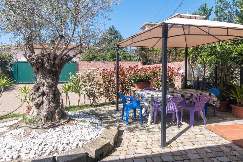 Patio, Garden, Dining area, Garden view