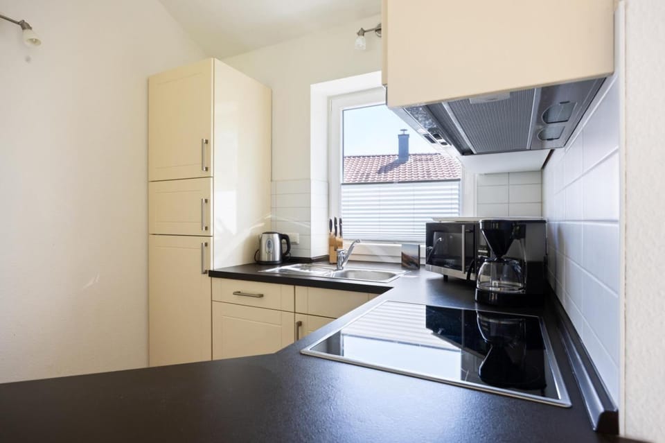 Kitchen or kitchenette, oven, stove