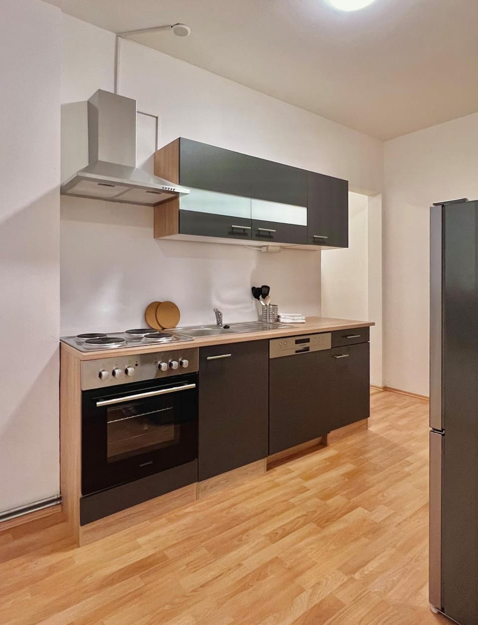 Kitchen or kitchenette, dishwasher, pet friendly, stove, kitchen