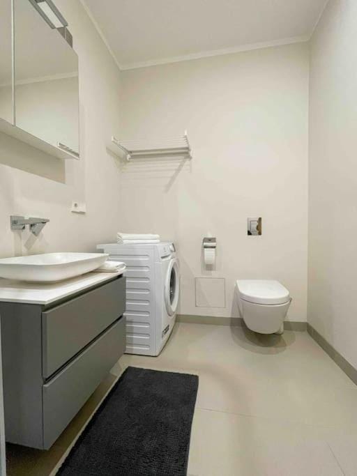 Toilet, Bathroom, washing machine