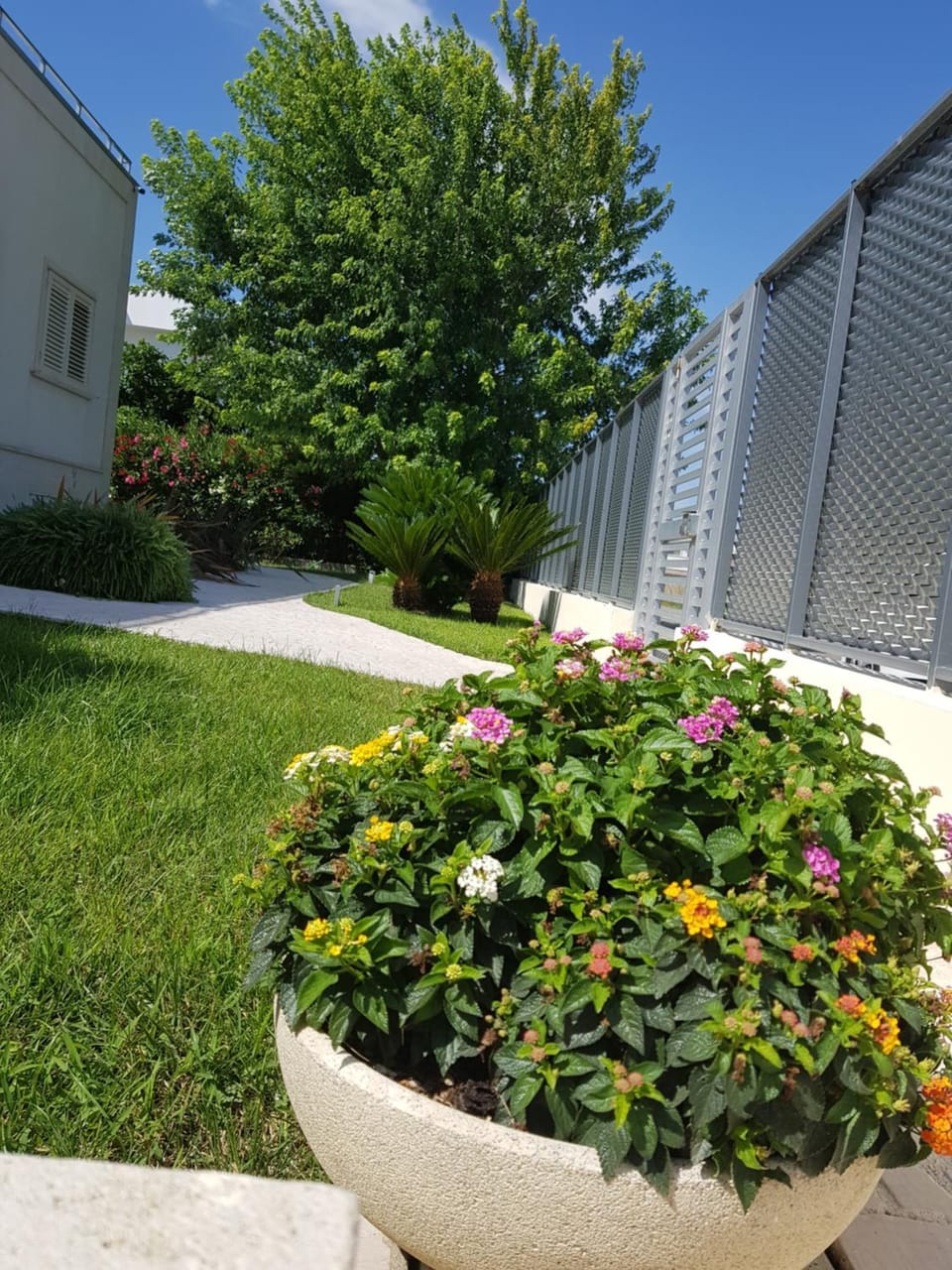Appartamenti Giglio di Mare Apartment in Basilicata