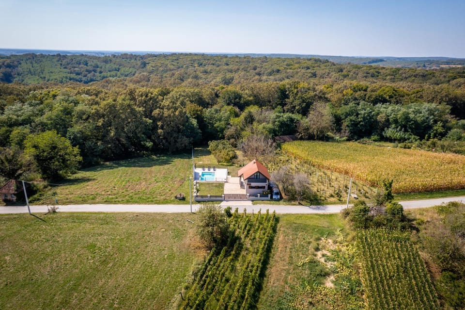 Day, Neighbourhood, Natural landscape, Bird's eye view