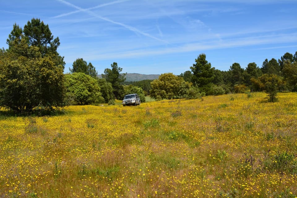 Turismo rural 4QUINTAS Apartment in Portugal