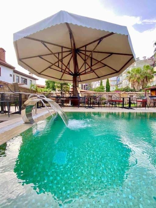 Day, Pool view, Swimming pool, sunbed