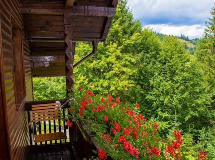 Natural landscape, View (from property/room), Balcony/Terrace