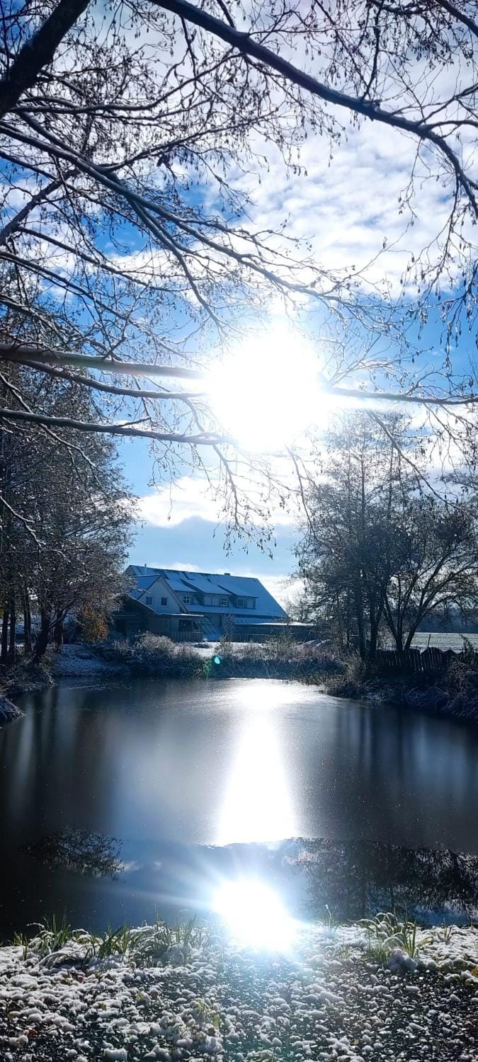 Lake view
