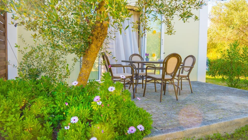 Property building, Patio, Garden