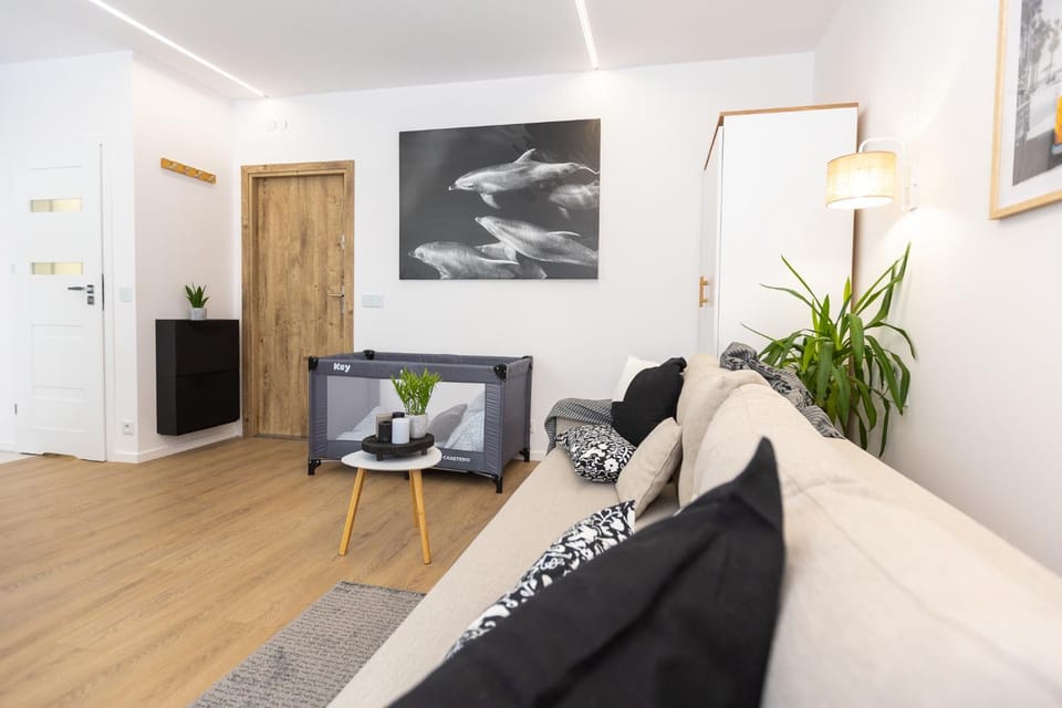 Kitchen or kitchenette, Living room, Seating area