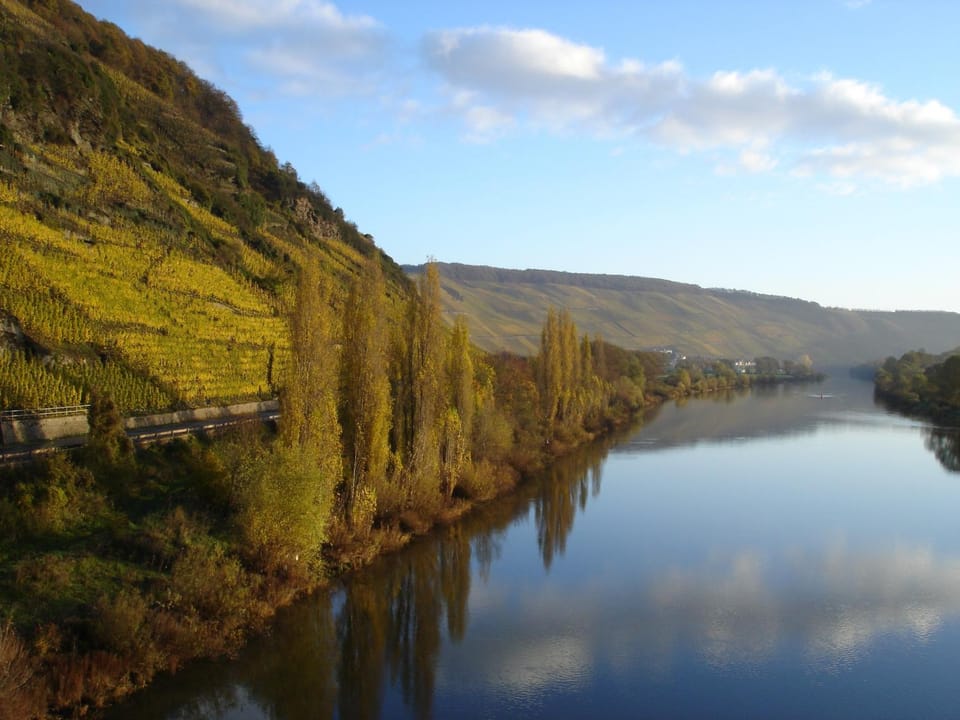 Mosel Ferienresidenz ZickZack Apartment in Trier-Saarburg