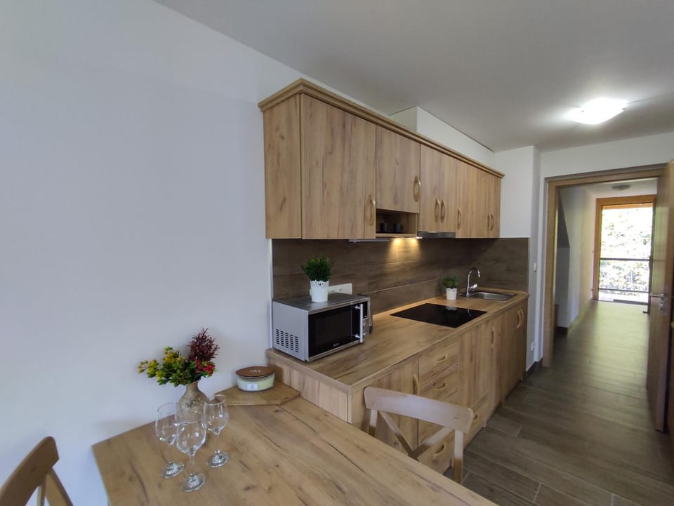 Kitchen or kitchenette, minibar, stove