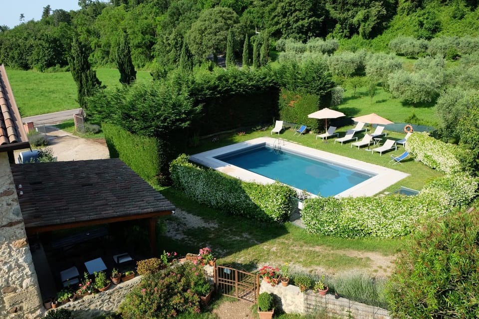 Property building, Garden, Garden view, Swimming pool