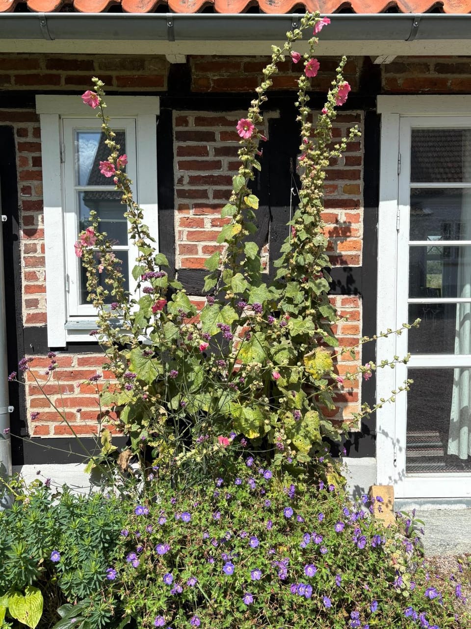 Hönshuset Kullabygden House in Skåne County