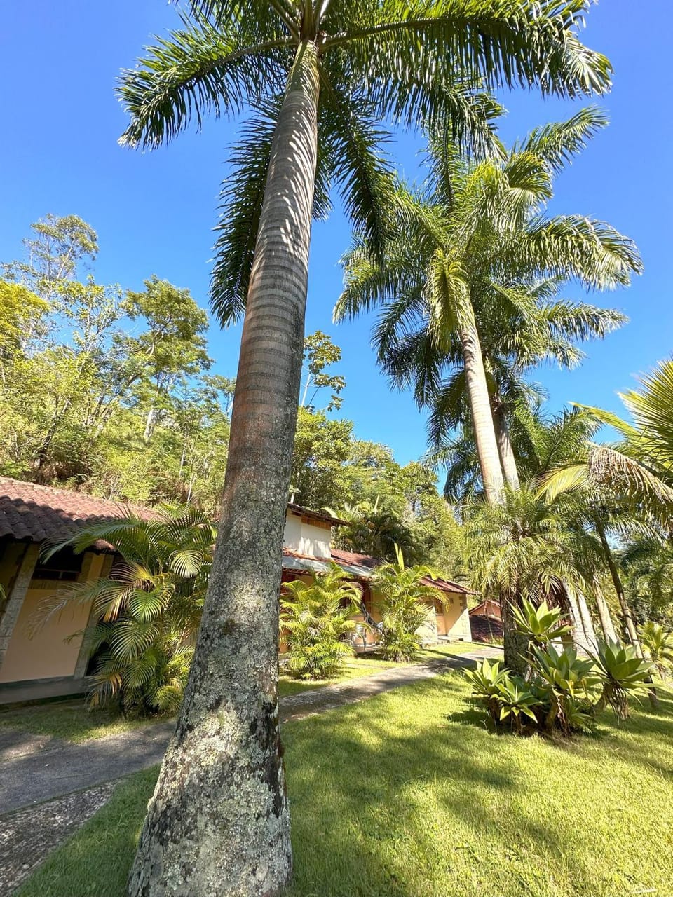 Pousada J Country Inn in State of Rio de Janeiro