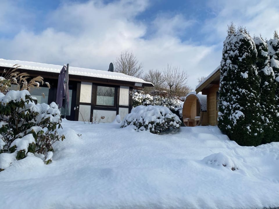 Property building, Winter