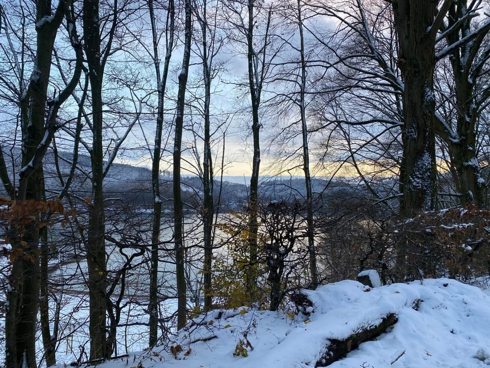 Natural landscape, Winter, Lake view