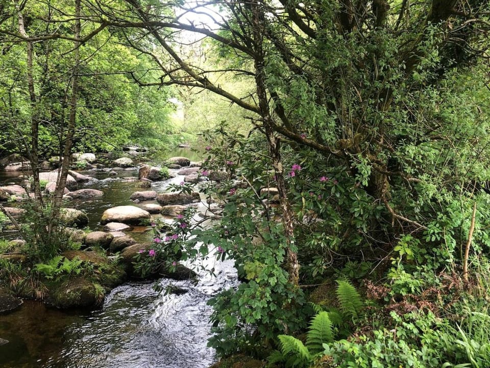 Natural landscape