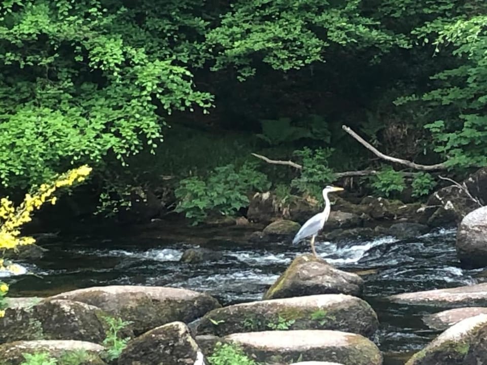 River view