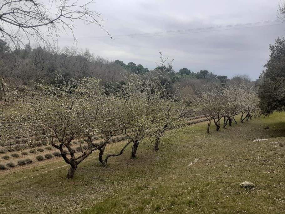 Maison restaurée à l'ancienne avec terrasse House in French Riviera